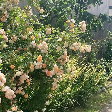 L Atelier De Leon Lägenhet