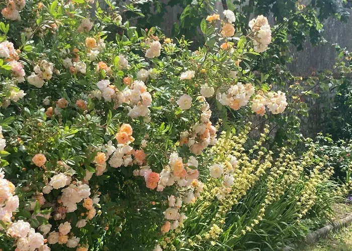 L Atelier De Leon Lägenhet